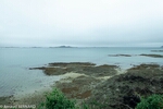 DSC_1885.jpg
