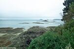 DSC_1886.jpg