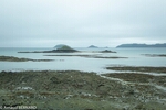 DSC_1887.jpg