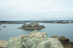 DSC_1955.jpg