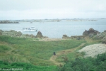 DSC_1965.jpg