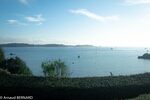 DSC_1997.jpg