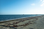 DSC_2048.jpg