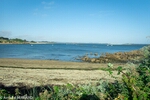 DSC_2053.jpg