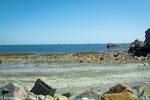 DSC_2107.jpg