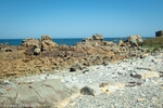 DSC_2108.jpg