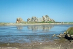 DSC_2112.jpg