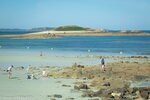 DSC_2151.jpg