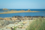 DSC_2152.jpg