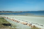 DSC_2153.jpg