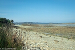 DSC_2158.jpg