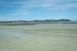 DSC_2165.jpg