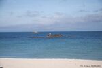 DSC_6487.jpg