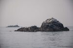 DSC_6310.jpg