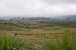 DSC_3242.jpg