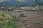 DSC_3245.jpg