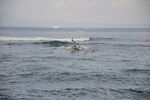 DSC_2598.jpg