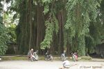 DSC_1512.jpg