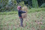 DSC_3134.jpg