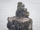 DSC_5111.jpg