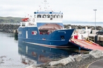 DSC_5132.jpg