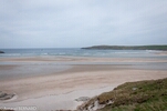 DSC_4897.jpg