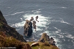 DSC_4855.jpg