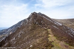 DSC_4864.jpg