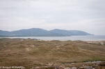 DSC_4941.jpg