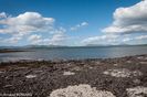DSC_4615.jpg