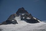DSC_6123.jpg