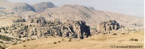 DSC_0038.jpg