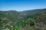P9091755.jpg