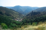 P9091563.jpg