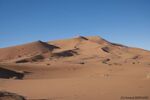 DSC_4158.jpg