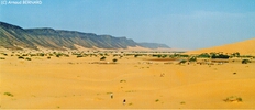 DSC_0007.jpg