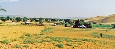 DSC_0023.jpg