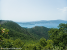 P7220012.webp