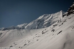 DSC_1260.jpg