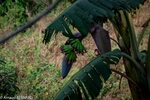 DSC_1521.jpg