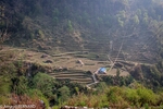 DSC_1035.jpg