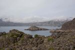 DSC_7774.jpg
