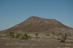 DSC_0535.jpg