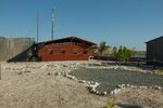 DSC_0230.jpg