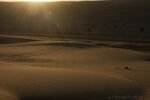 DSC_0337.jpg