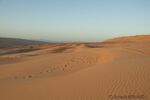 DSC_0338.jpg