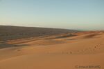 DSC_0339.jpg