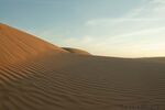 DSC_0346.jpg