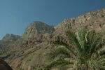DSC_0162.jpg
