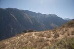 DSC_5176.jpg